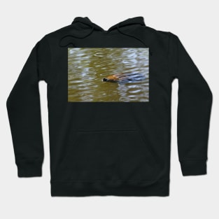 turtle swimming at Trojan pond, near Goble, Oregon Hoodie